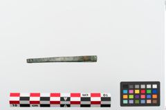 Foto von Bronzepinzette (NHMW-PRAE-024107)